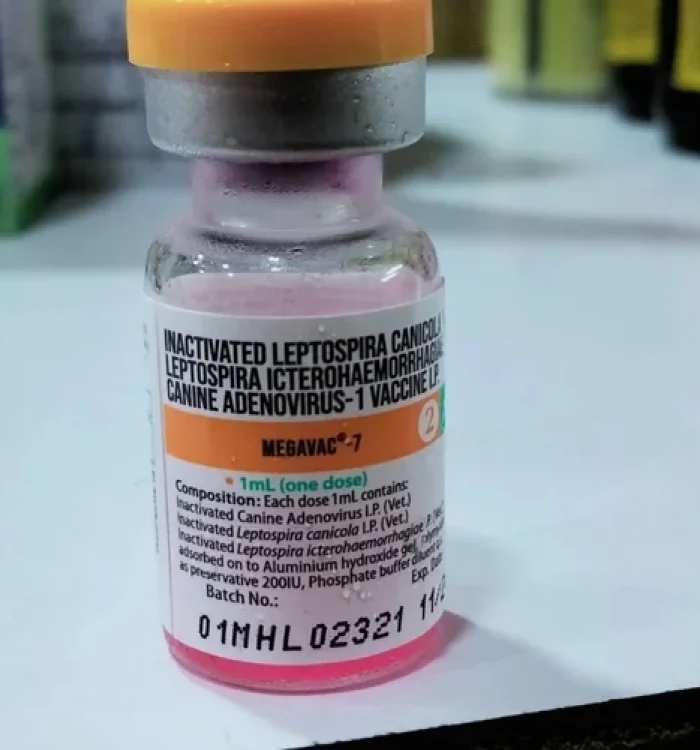 Megavac 7 mg Veterinary Vaccines